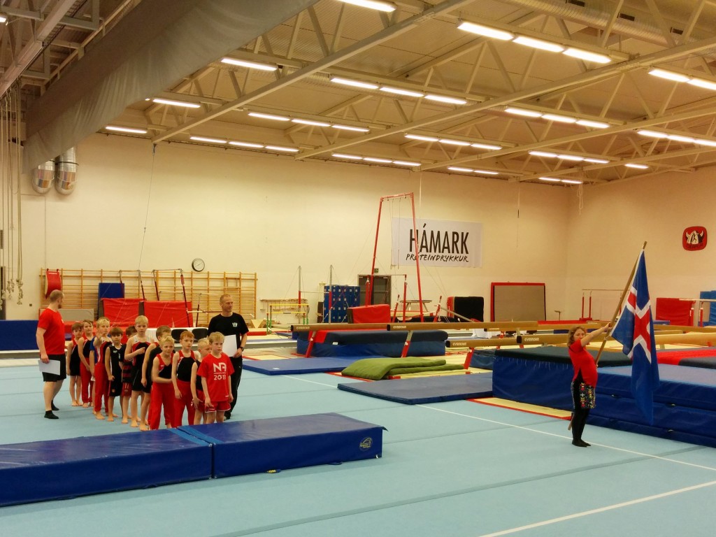 Gymnastics involve a lot of marching in lines! This march was to the podium.